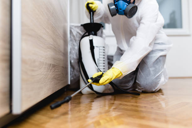 Best Affordable Pest Control Services  in Riverside, MO