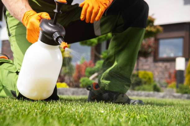 Best Emergency Pest Control  in Riverside, MO