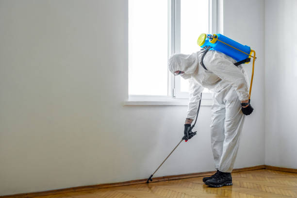 Pest Prevention Services in Riverside, MO