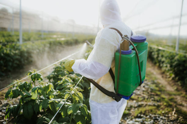 Best Bed Bug Extermination  in Riverside, MO